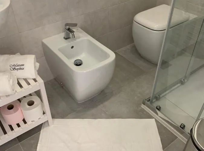 招待所 Maison Sophia