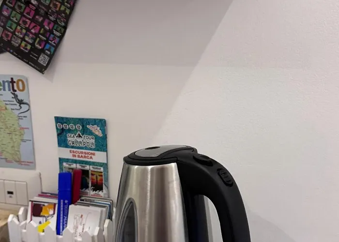 Maison Sophia 招待所