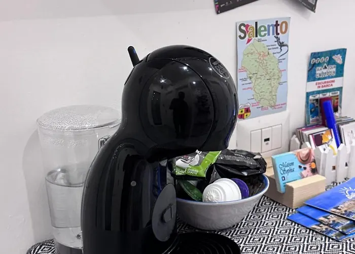 Maison Sophia 招待所 加利波利